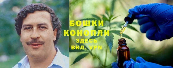 стаф Корсаков