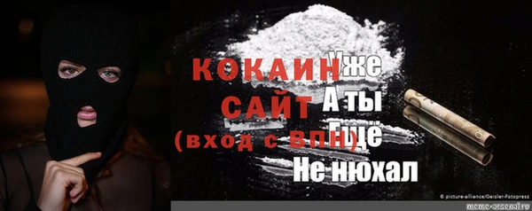 стаф Корсаков