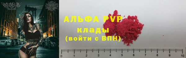 стаф Корсаков