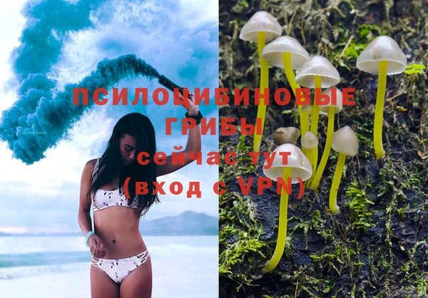 прущие крисы Коряжма