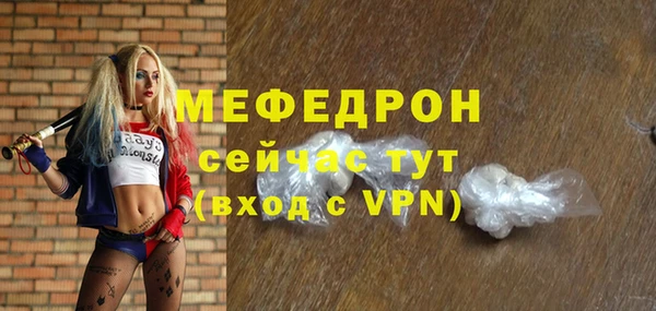 стаф Корсаков