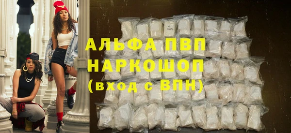 стаф Корсаков
